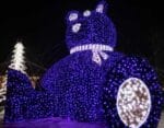 16' 3D Teddy Bear Holiday Lighting Display