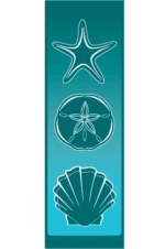 Seashells Trio Street Banner 09207