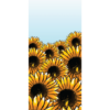 HiTech Sunflowers Street Banner