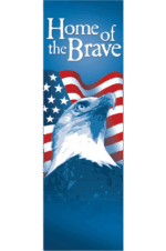 Star Spangled Brave Eagle Street Banner 11931
