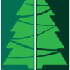 Modern Evergreen Tree Street Banner Set 16119