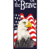 Proud Eagle Street Banner