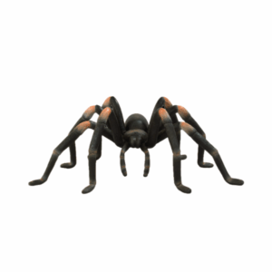 1' Tarantula Halloween Fiberglass Display