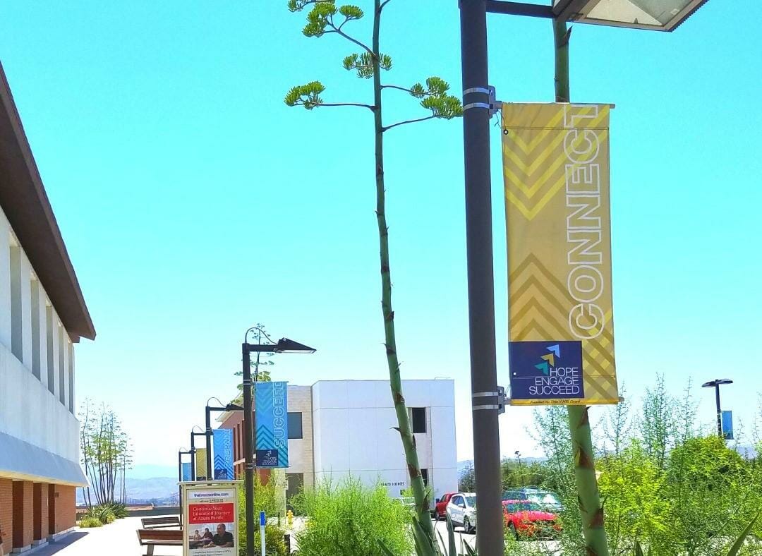 Commercial Street Banners