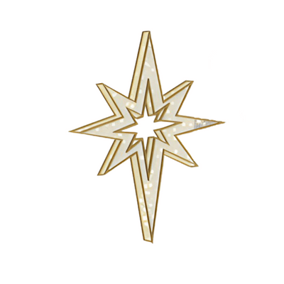 6.5' 3D LED Bethlehem Star Dimensional Display (1)