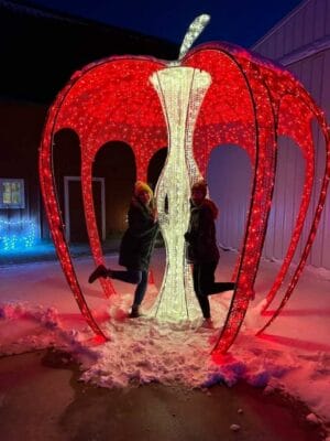 12' 3D Walkthrough Illuminated Apple Dimensional Display