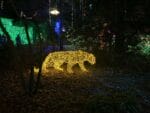 3D Leopard Light Display
