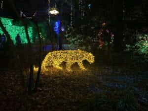 3D Leopard Light Display