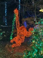 3D Orangutang Light Display