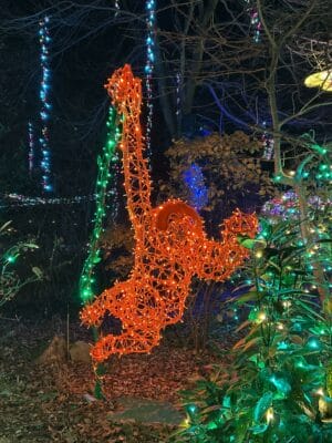 3D Orangutang Light Display