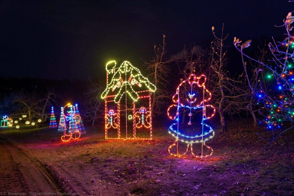 Professional Christmas Lights