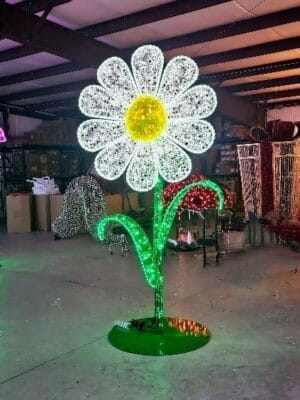 8' Masson Daisy Flower