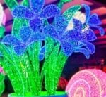 Lily Flower Dimensional Display