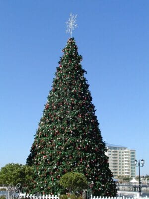 Giant Panel Tree