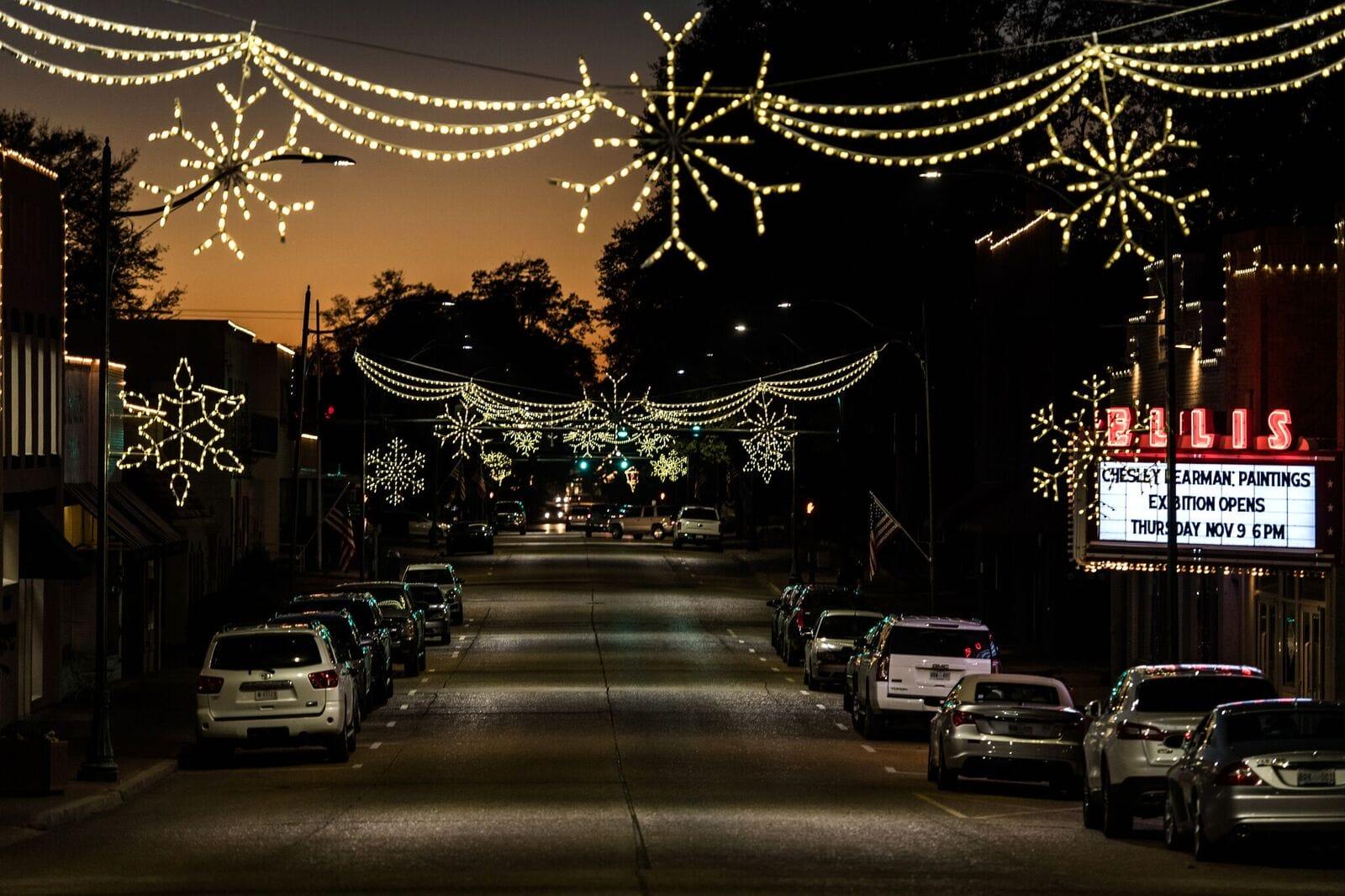 Professional Christmas Lights