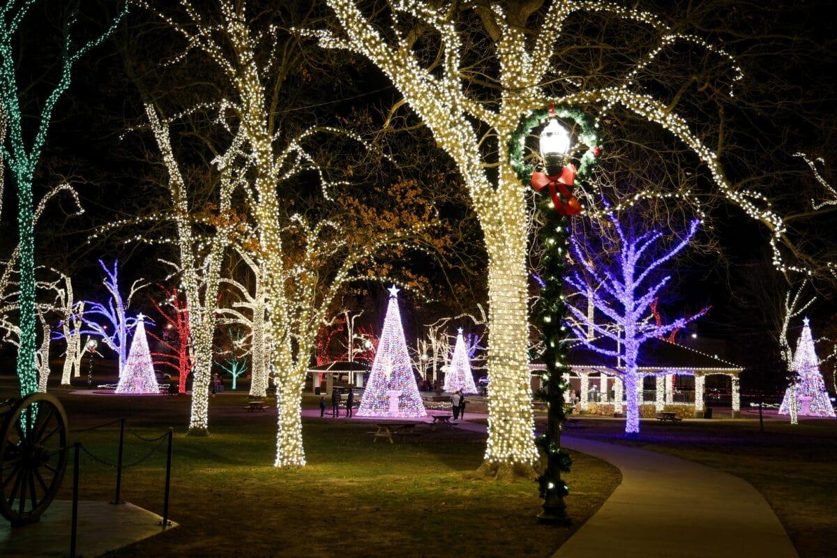 Commercial Christmas lights